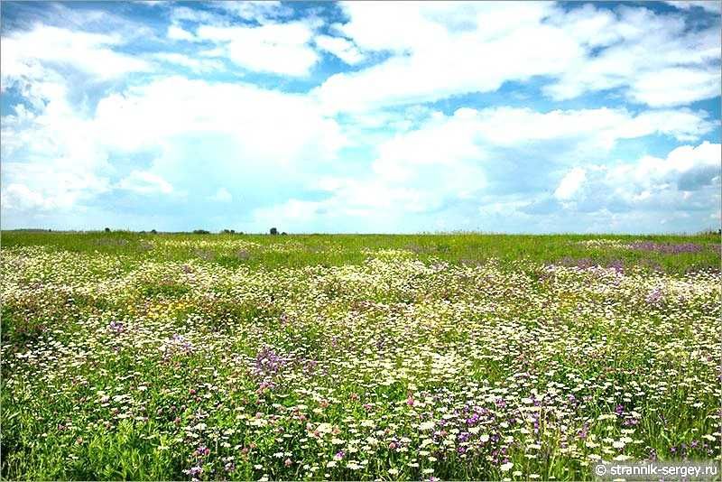 Продам землю Бурилово Новосілки Вишгородський раайон