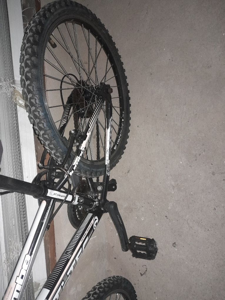 Northtec 24 JUMBO Aluminiowa rama,amor,Shimano Acera,wzmacniane koła