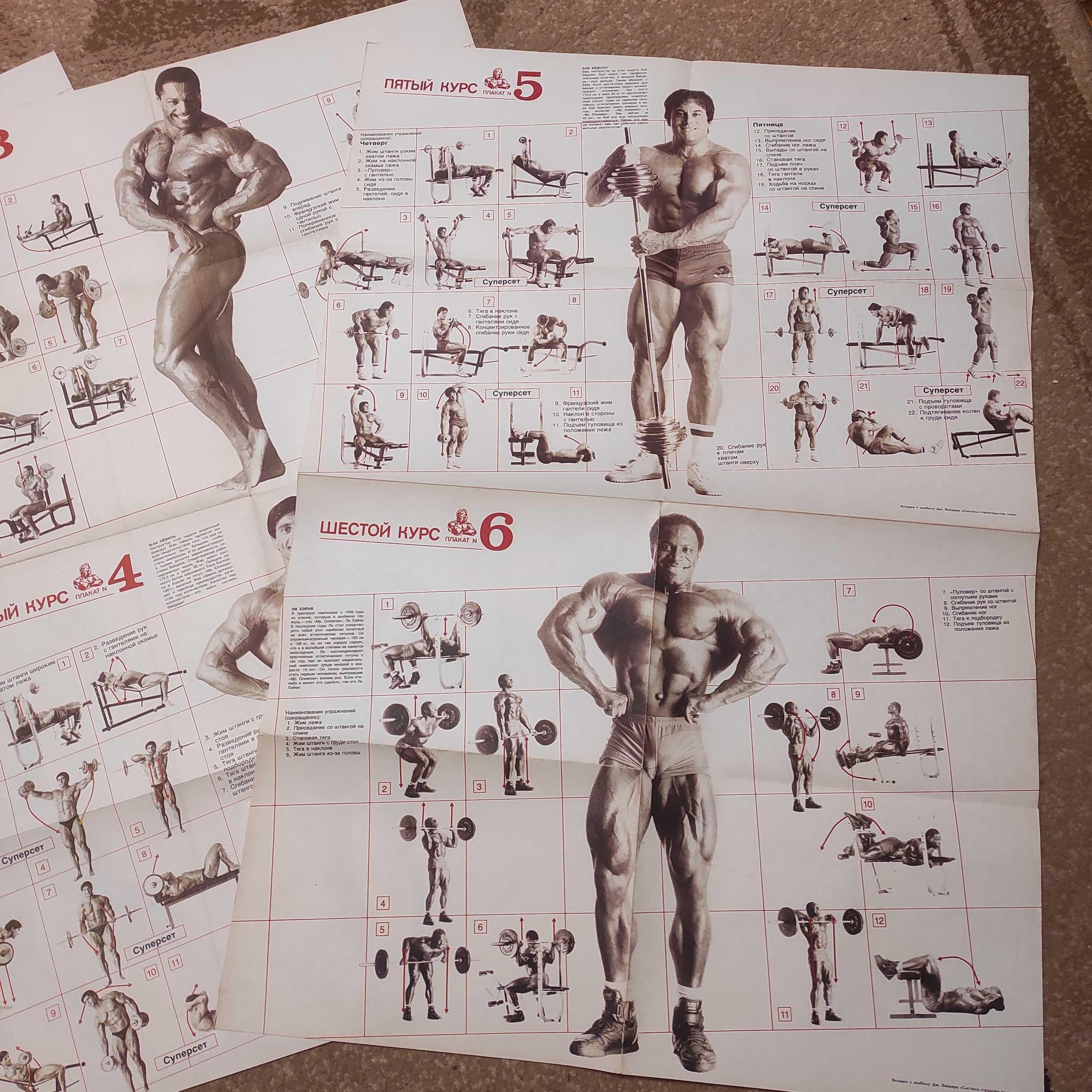 Плакаты Джо Вейдер Система строительства тела