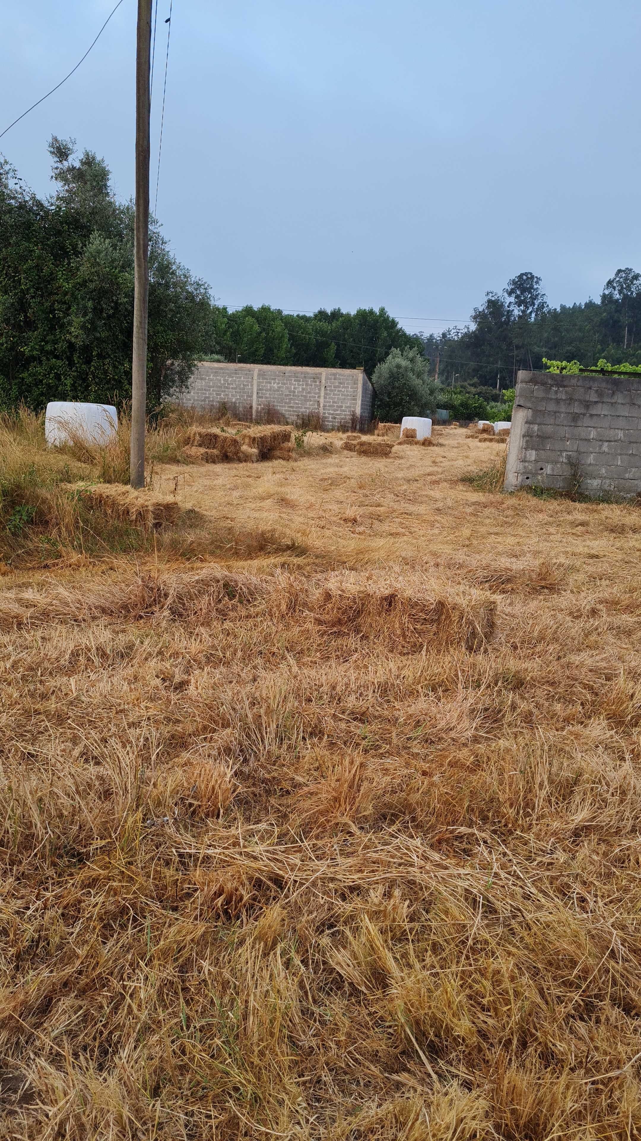 Fardos de palha e silagem