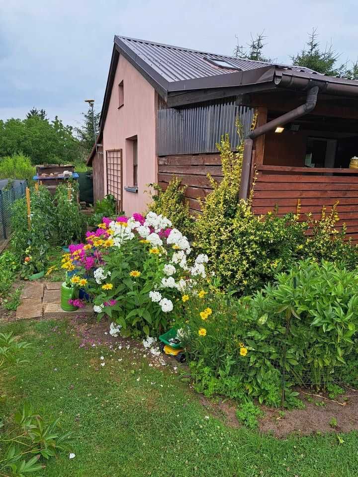 Sprzedam działkę ROD, Goleniów  przy ul. Słowackiego