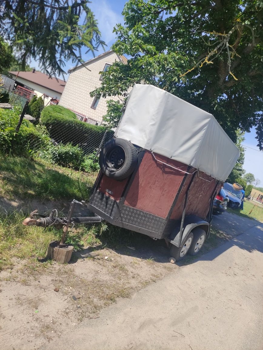 Sprzedam Klacz Zimnokrwistą