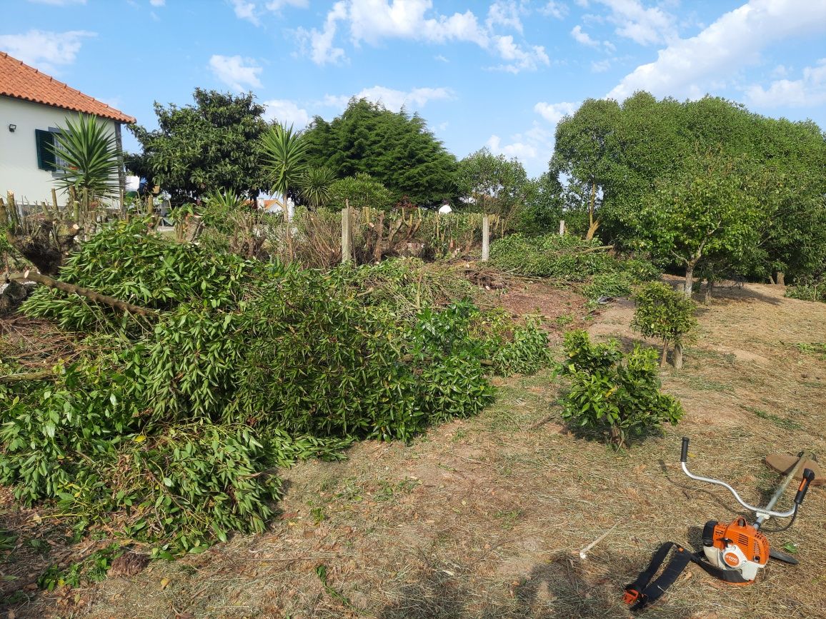 Jardineiro prestador de serviços