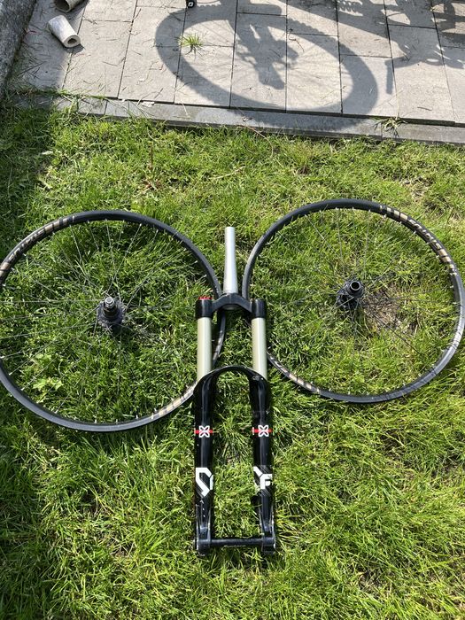 Specialized status 1