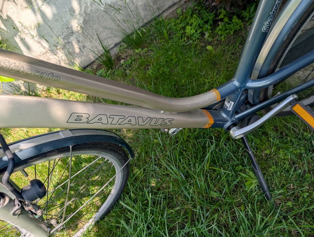 rower Batavus Staccato