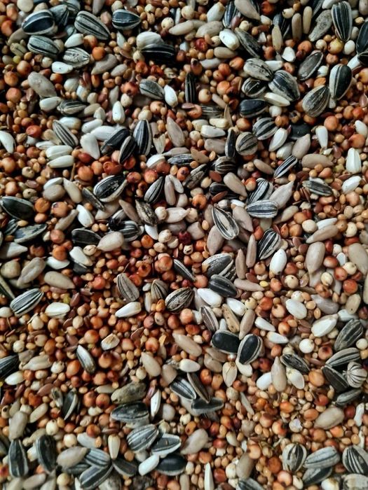 Karma dla papug / PŚ - słonecznik siemie lniane 25 kg