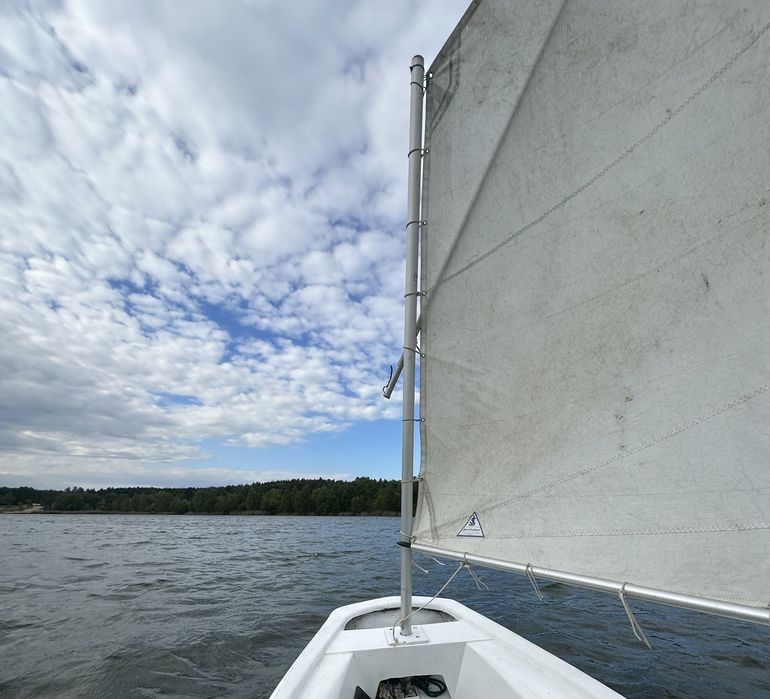 zaglowka klasy optymist