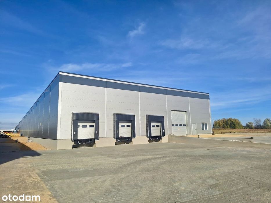 Wynajmę halę magazynową Jankowy 5000 m2 lub 2500 m2 TEL.692*427*002