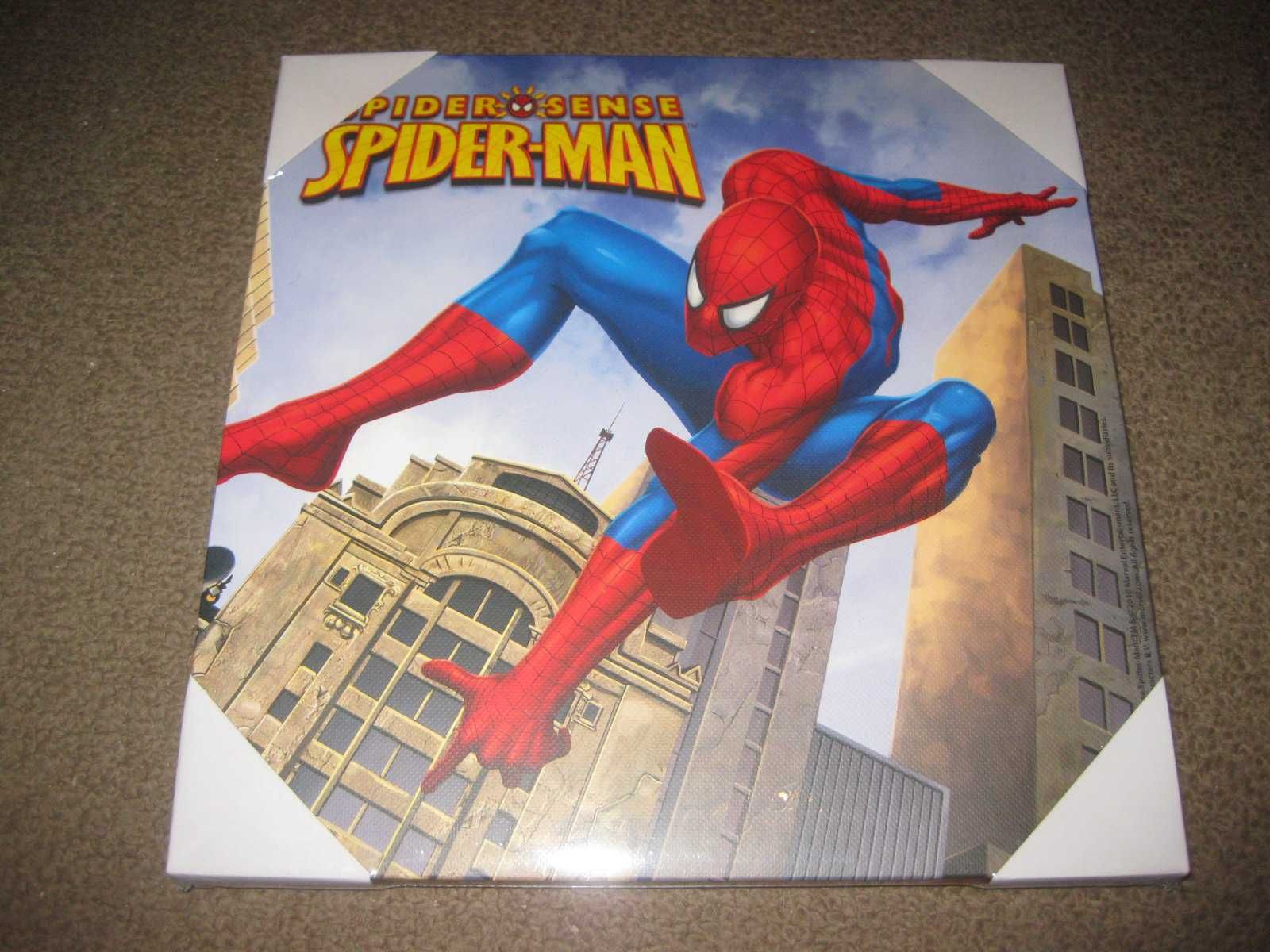 Quadro/Tela do "Homem Aranha (Spider Man)" Modelo 4