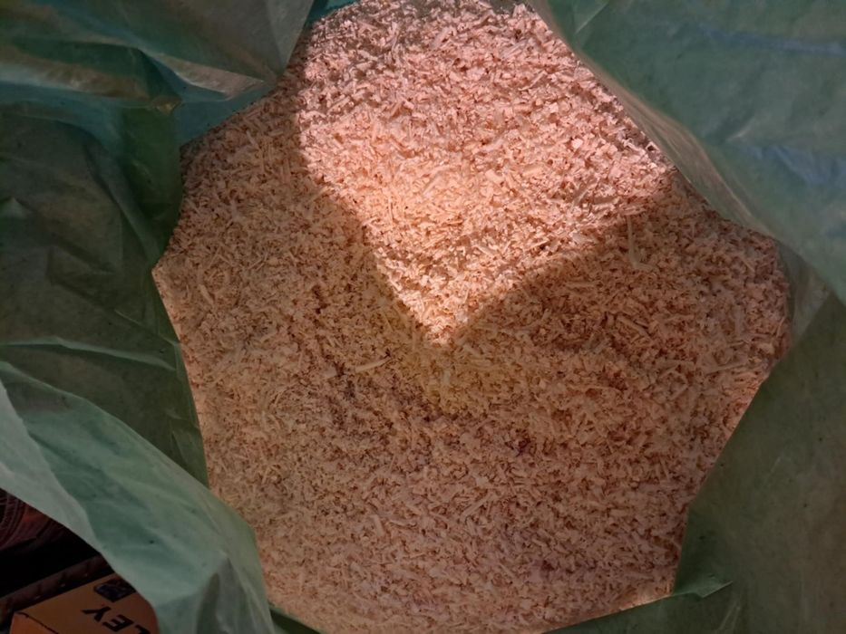 Trociny, suche sosnowe