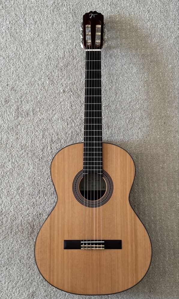 Guitarra José Torres