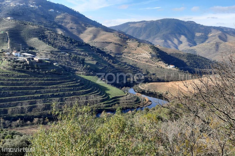 Quinta Em Santa Leocádia, Tabuaço