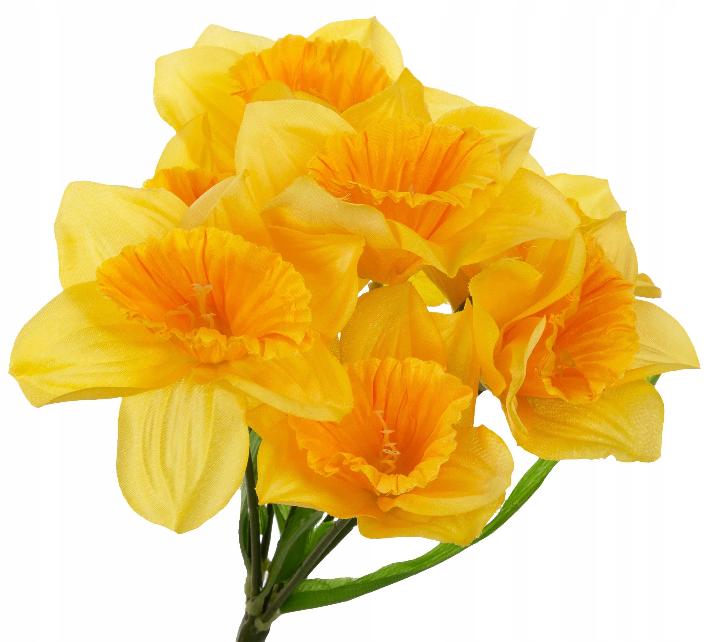 Bukiet Żonkil Żonkile 7 Kwiatów 30 Cm Żółty
