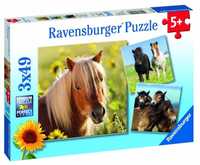 Puzzle 3x49 Konie, Ravensburger
