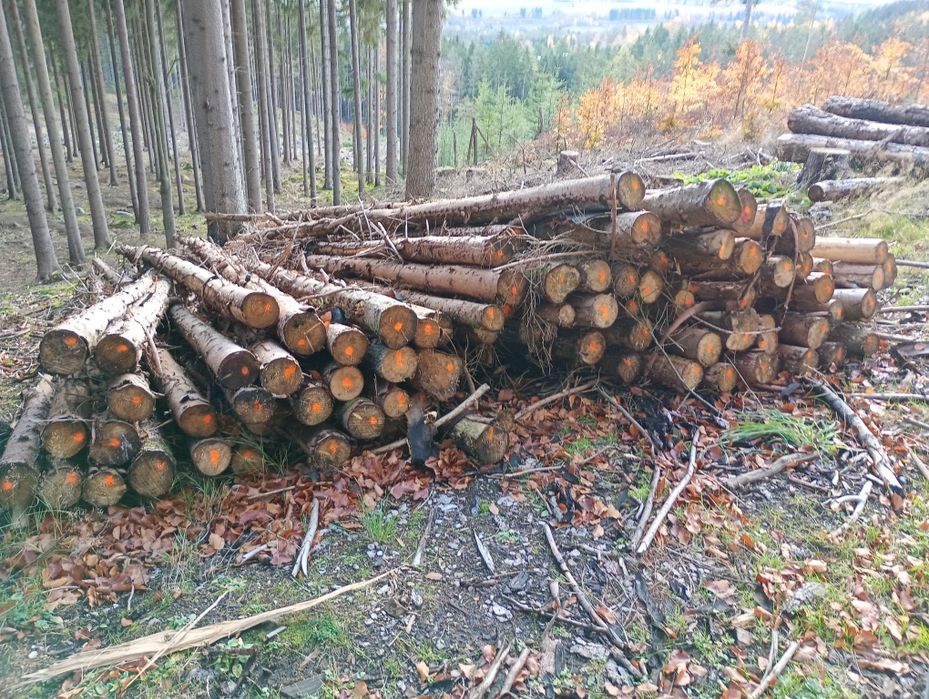 Stemple budowlane 3 metrowe słupki żerdzie transport GRATIS