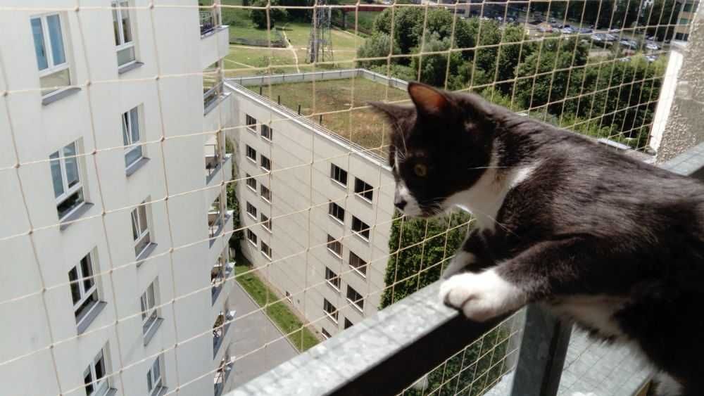 Siatka dla kota / siatka przeciw ptakom / siatka balkonowa