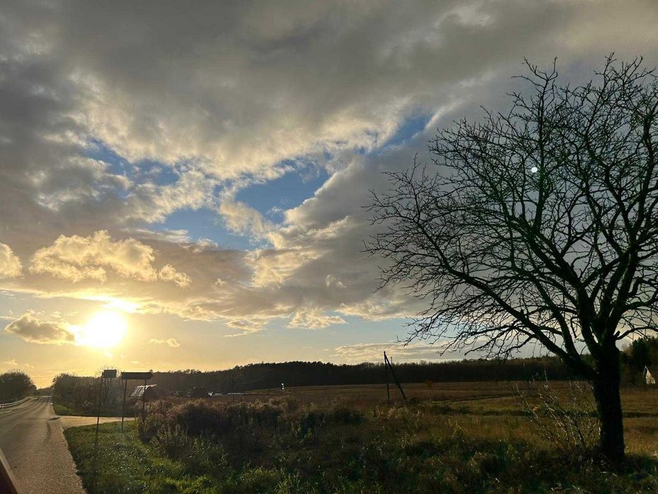 1200m2, wszystkie media w drodze