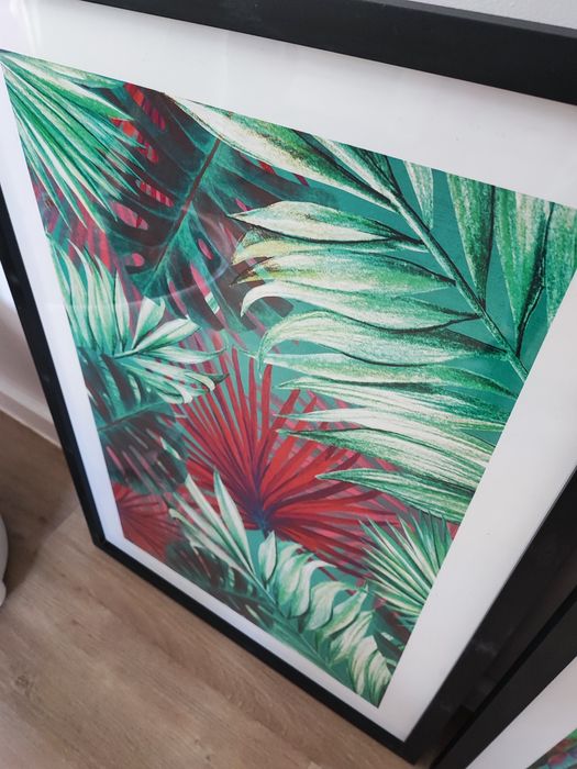 2 plakaty motyw roślinny monstera palma ramka szkło