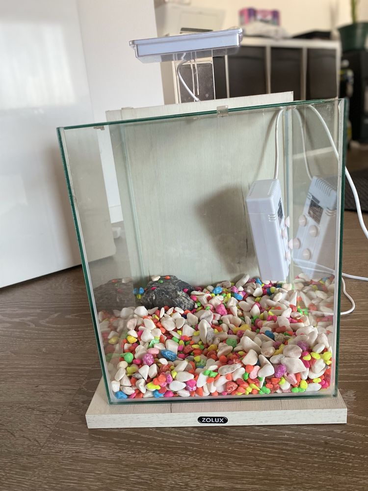 Aquario 10L com lampada led