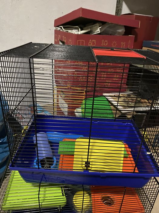 Klatki dla choimka lub innego mniejszego grzyzonia