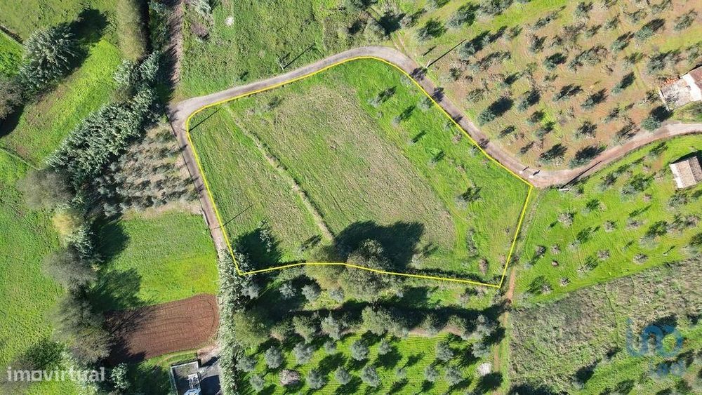 Terreno Agrícola em Podentes