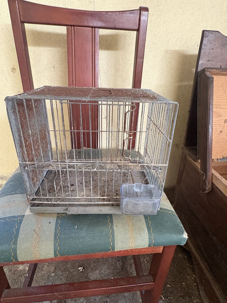 Vendo gaiolas para pássaros