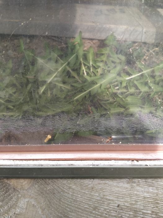 Szyba przednia przyczepy kempingowej 51 *74 *67