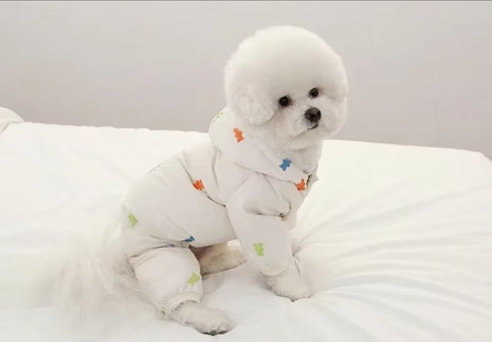 Куртка для собачки,