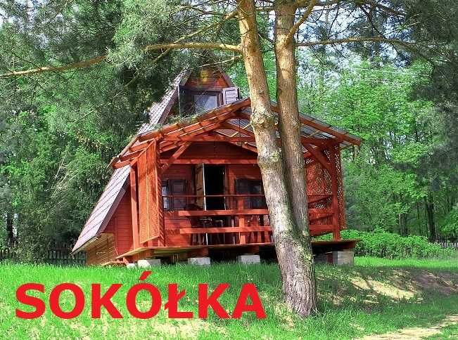 Urlop Wędkarski nad Jez. Dębno Łódź Wędka Spining ! Wolny od 08-10.08
