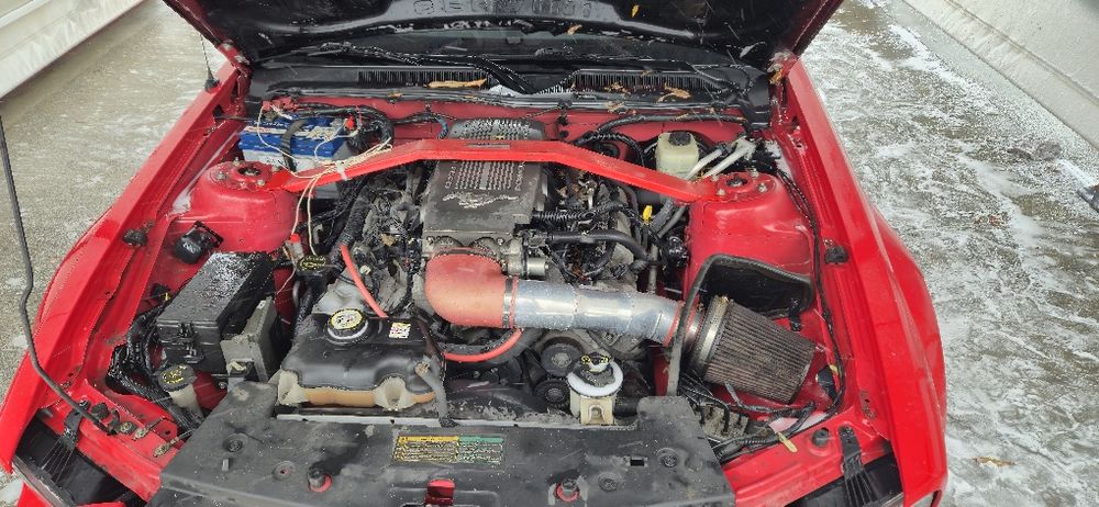 Ford Mustang V 4.6 V8