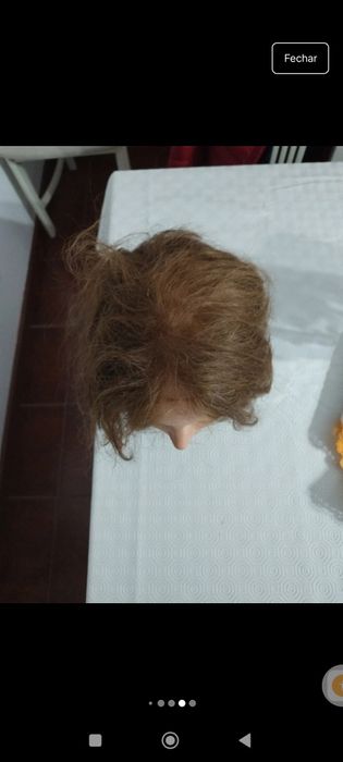 Cabeça de treino