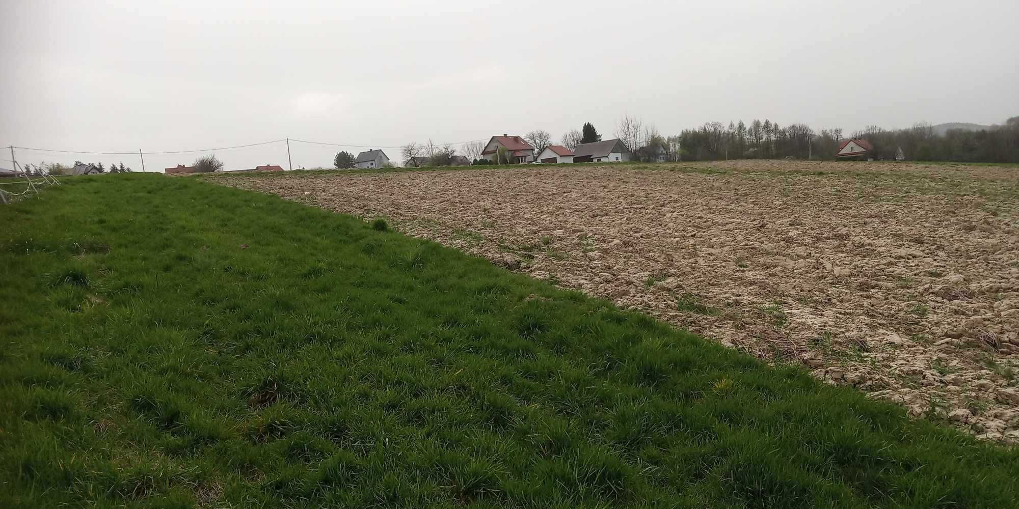 Działka Rolna 1.65 ha w Kształcie Prostokąta