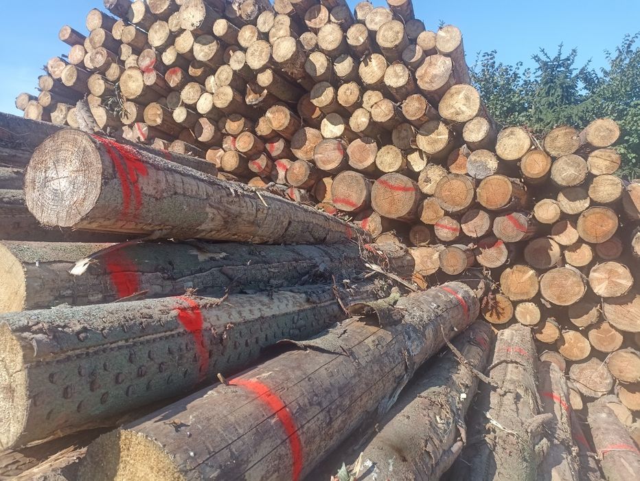 Drewno Opałowe Kominkowe  Buk jesion sezonowane układane !