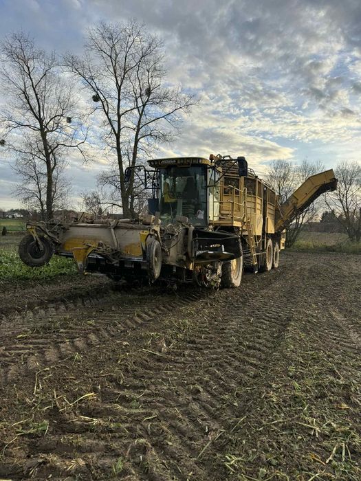 Kombajn buraczany Ropa