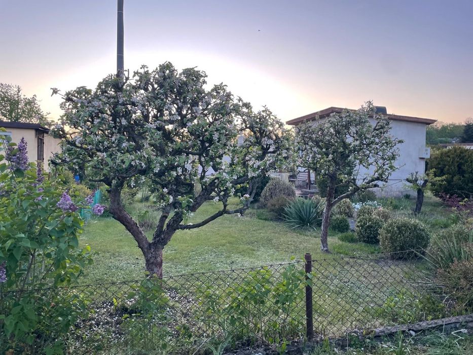 Działka ROD na sprzedaż – Myślęcinek