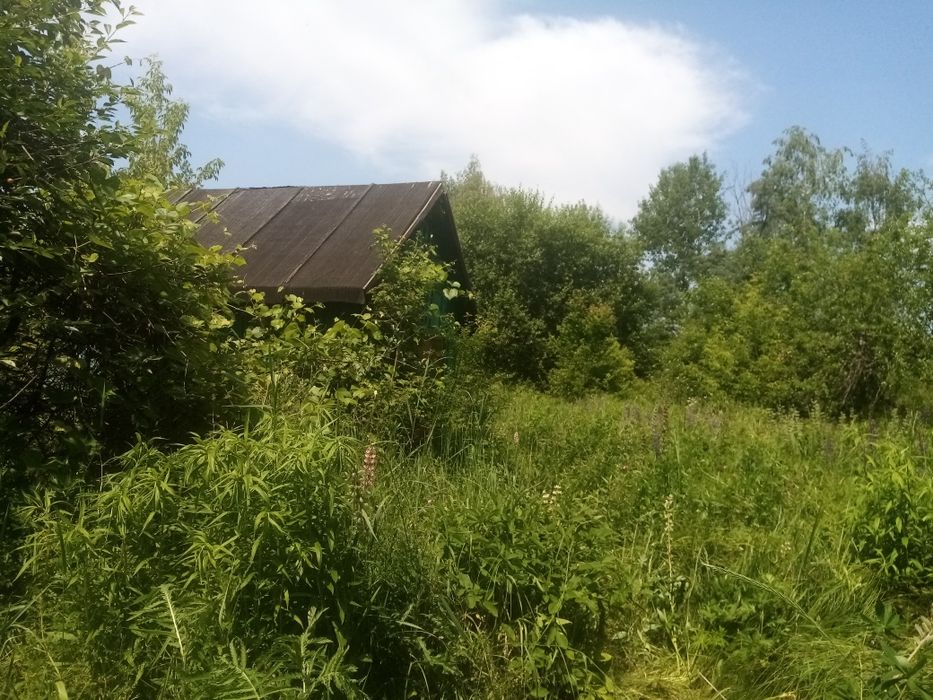 Продаж дачної ділянки в Чернієві