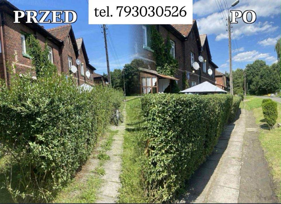 Sprzątanie z sercem – domy, biura, ogrody, nagrobki!