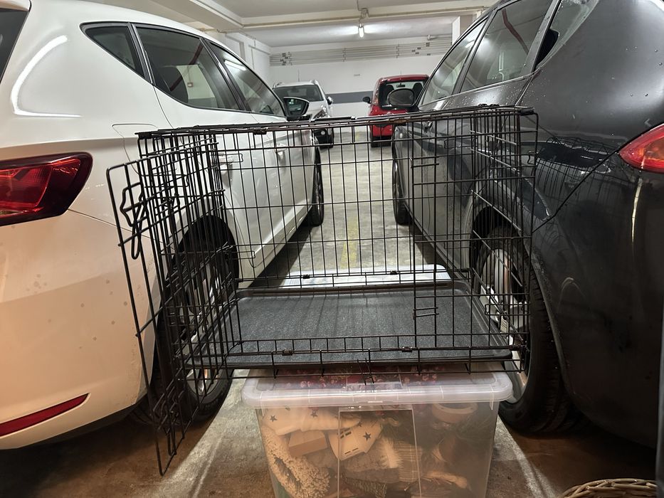 Jaula para cão ao gato