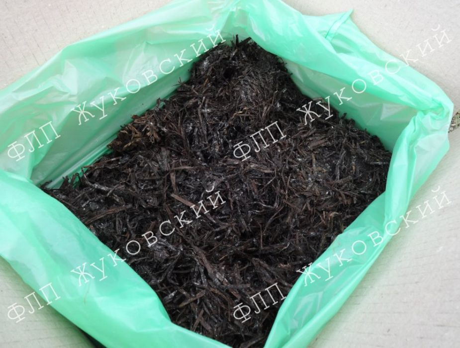 Печериці білі, готовий комплект для вирощування Сімейний