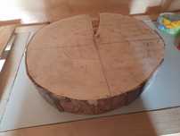 Plaster drewna,  Buk