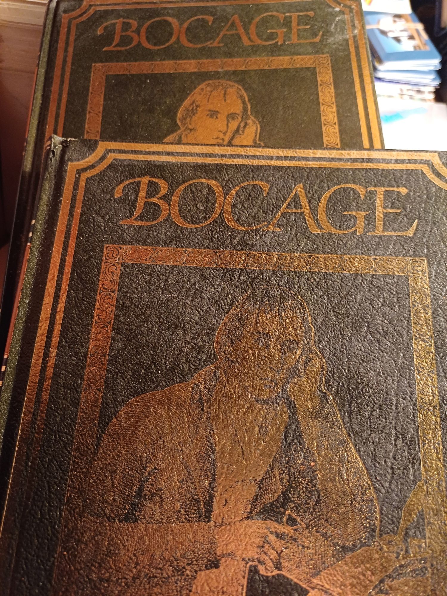 Livros do bocage