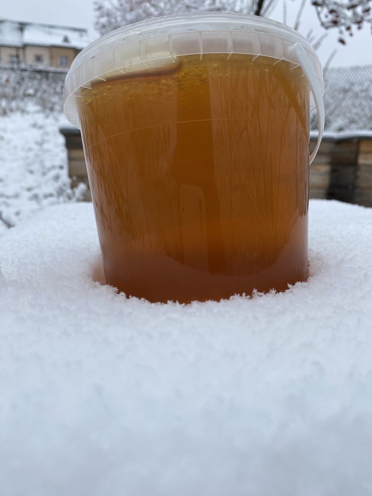 Карпатський  гірський мед з власної пасіки