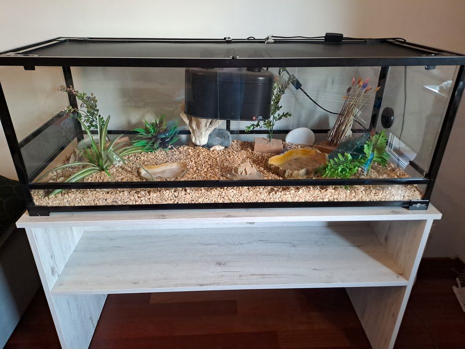 Terrarium jak nowe