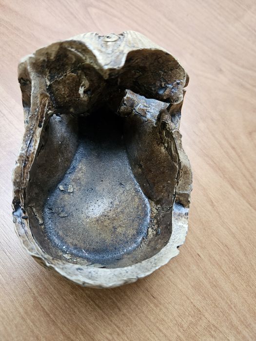 Unikatowa popielniczka czaszka