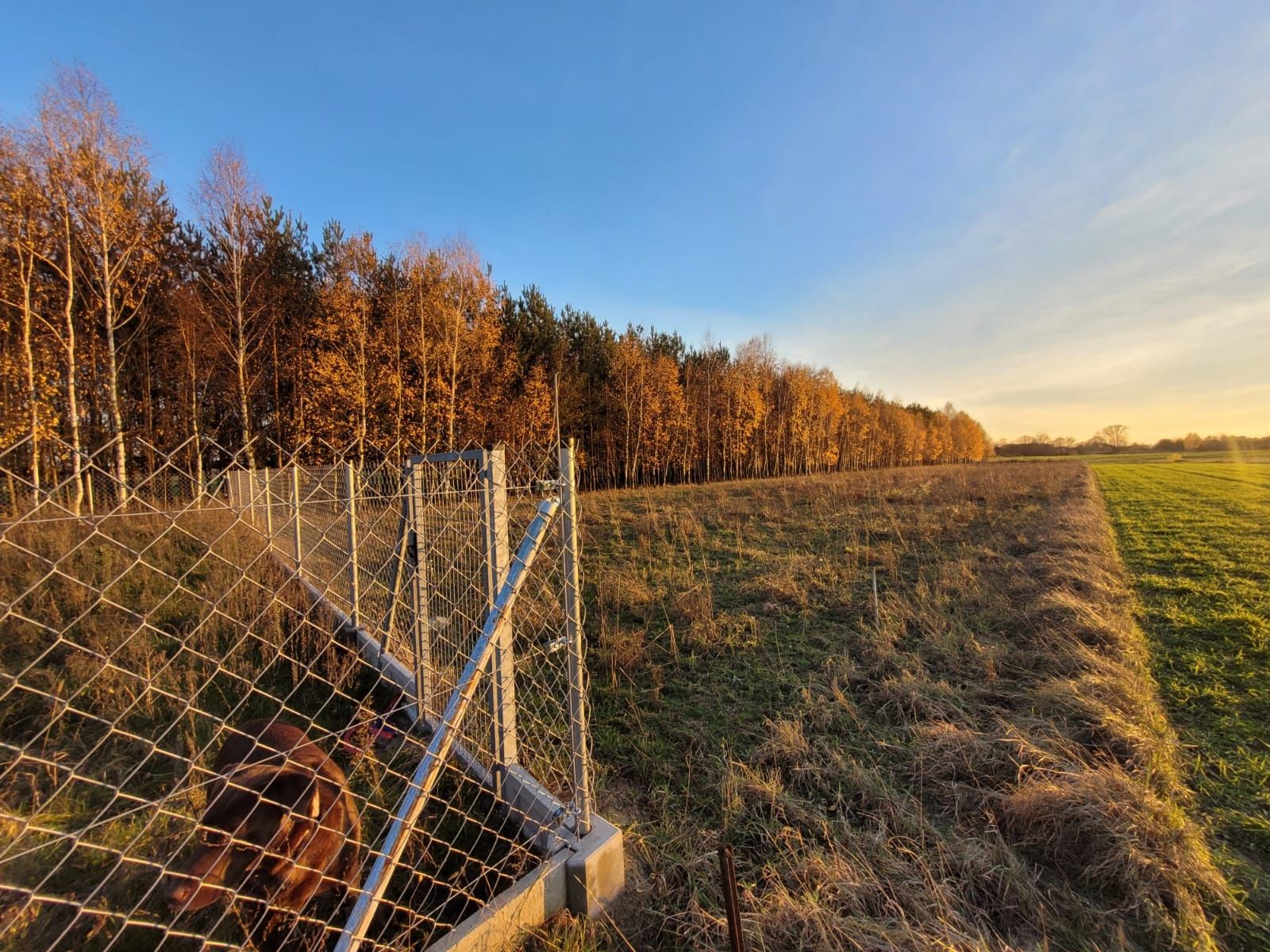 Działka Budowlana z projektem