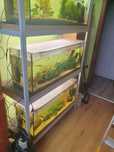 Sprzedam akwarium 120 l