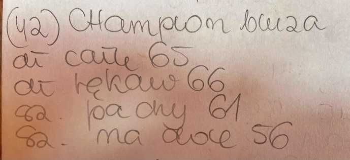 Champion bluza kurtka bomberka sportowa 42 44 modna xl xxl