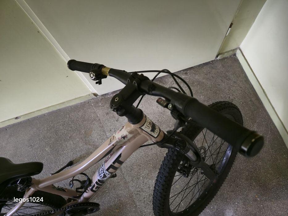 Rower dirty Giant