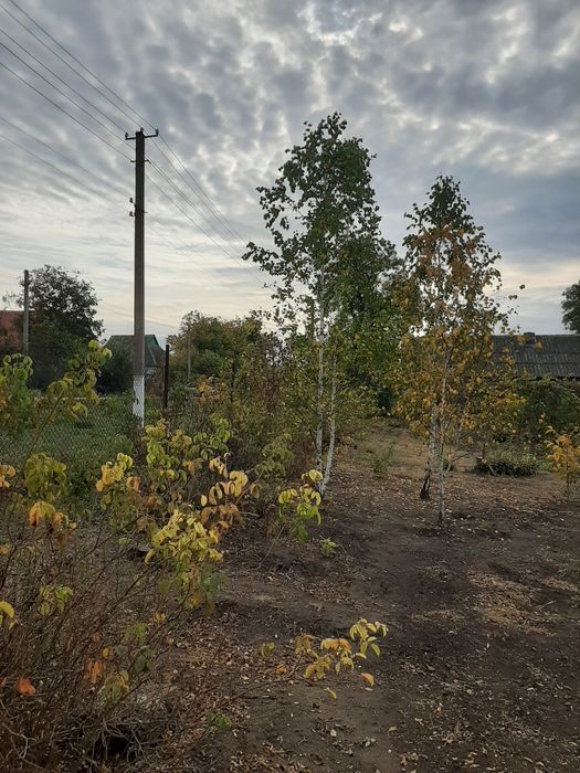 Земельна ділянка Сичавка