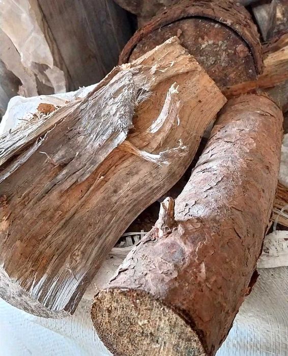 Lenha de Pinheiro Manso